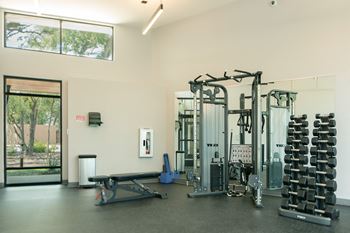 Modern fitness center with energy-generating equipment